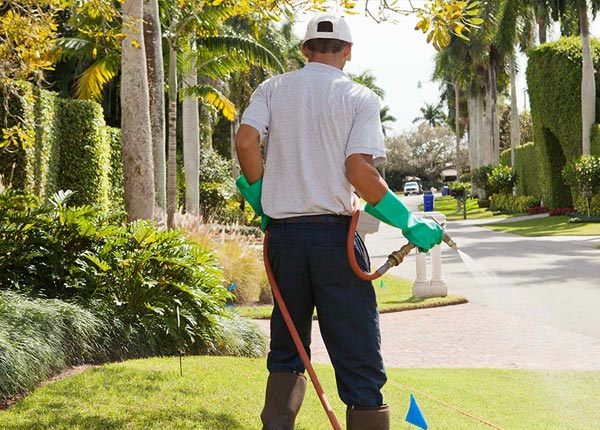 About Castalia OH Pest Control